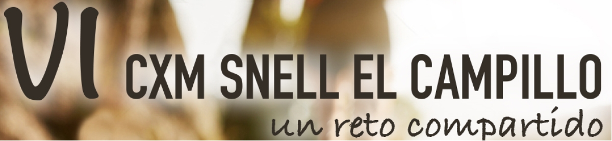 VI CXM EL CAMPILLO