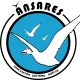 ANSARES 