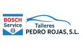 TALLERES PEDRO ROJAS
